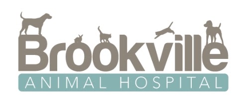 Brookville Animal Hospital Logo